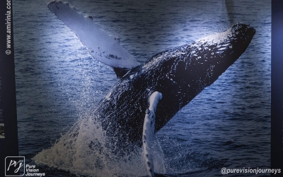 International Maritime Museum_0041