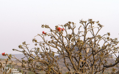 EasternHighlands_0009