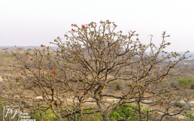 EasternHighlands_0010