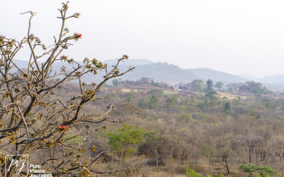 EasternHighlands_0011
