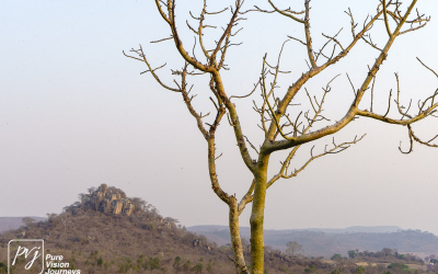 EasternHighlands_0012