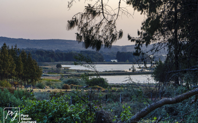 EasternHighlands_0023