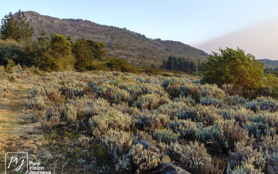 EasternHighlands_0028