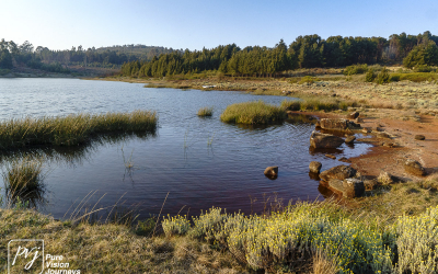 EasternHighlands_0030