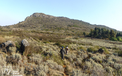 EasternHighlands_0037