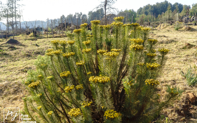 EasternHighlands_0040