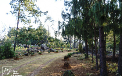 EasternHighlands_0044