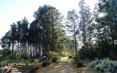 EasternHighlands_0045