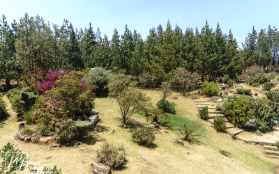 EasternHighlands_0054