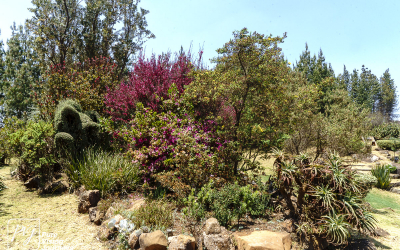 EasternHighlands_0060