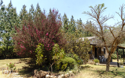 EasternHighlands_0064
