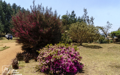 EasternHighlands_0065