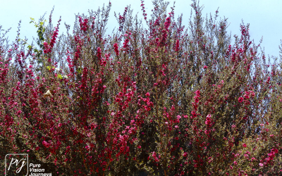 EasternHighlands_0066