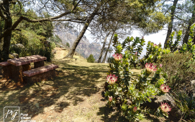 EasternHighlands_0073