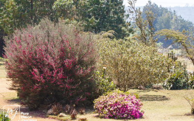 EasternHighlands_0090