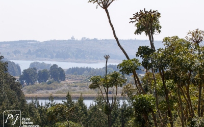 EasternHighlands_0092