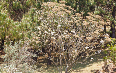 EasternHighlands_0093
