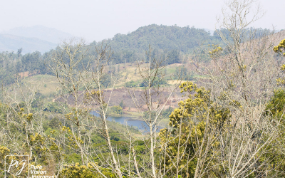 EasternHighlands_0104