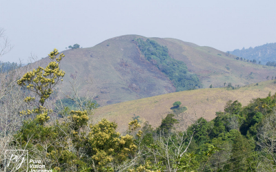 EasternHighlands_0105