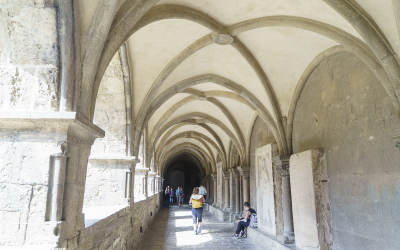 Naumburg Cathedral_0049