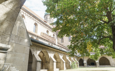 Naumburg Cathedral_0051
