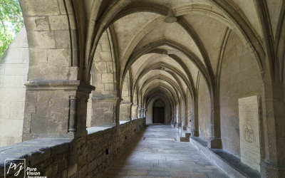 Naumburg Cathedral_0074