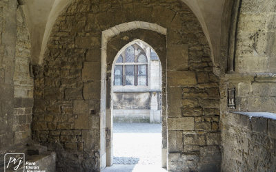 Naumburg Cathedral_0078