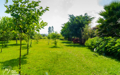 LakeChahafiResort_0026