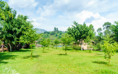 LakeChahafiResort_0034