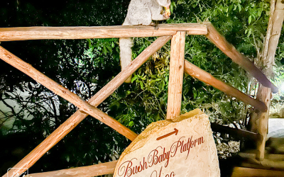MhingoLodge_0019