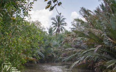 Bến Tre _0012