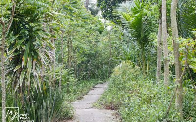 Bến Tre _0023