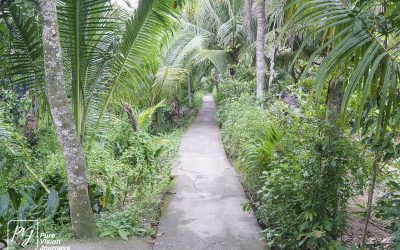 Bến Tre _0032