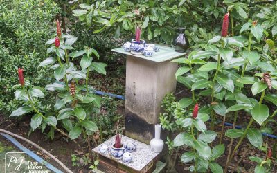 Bến Tre _0042