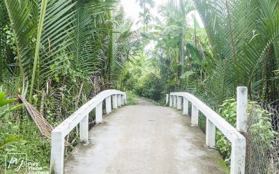 Bến Tre _0049