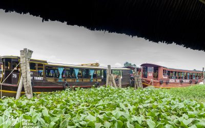 Bến Tre _0085