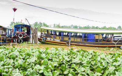 Bến Tre _0093