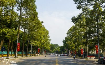 Hanoi - Streets 1_0058