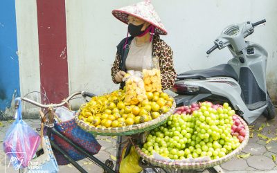 Hanoi - Streets 1_0083