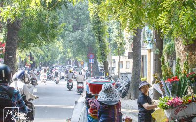 Hanoi - Streets 2_0029