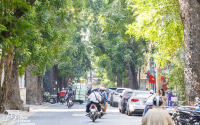 Hanoi - Streets 2_0030