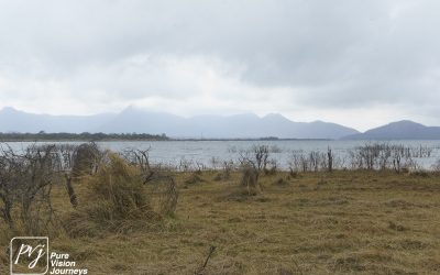 Kyle Recreational Park_0005