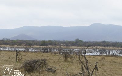 Kyle Recreational Park_0006