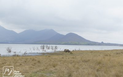 Kyle Recreational Park_0007