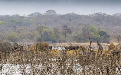 Kyle Recreational Park_0008