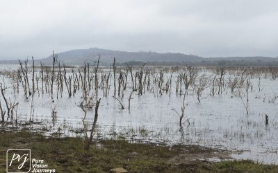 Kyle Recreational Park_0009