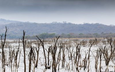 Kyle Recreational Park_0010