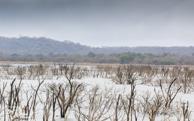 Kyle Recreational Park_0011