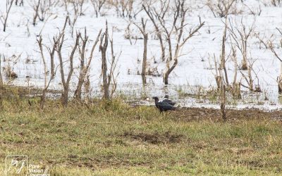 Kyle Recreational Park_0013