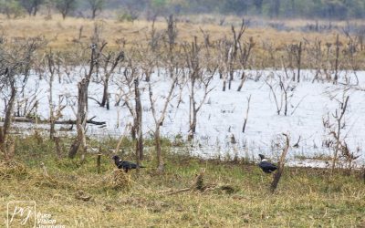 Kyle Recreational Park_0015